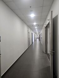 Hh @ Kallang (D13), Factory #591801721